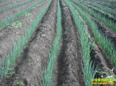 �ִ��׬Ǯ�𣺴�м۸��ֹյ� �����������