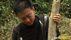 [�¸���]������������Ǯ�������ֲ����������ǧ��