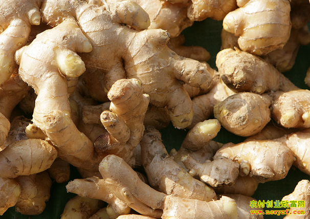 �����۸��䵽��������͵�