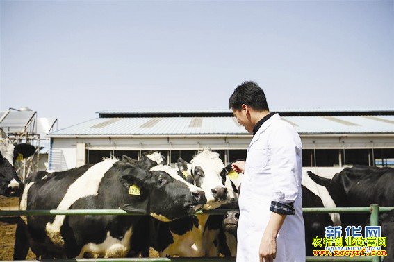 崔渐的冰激凌创业之路