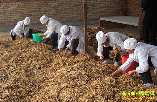 ɽ�������в�ҩ�ӹ��ؿ������¸�·