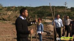 [�¸���]�Ĵ������κ����㱻�������İײ�Ƹ�