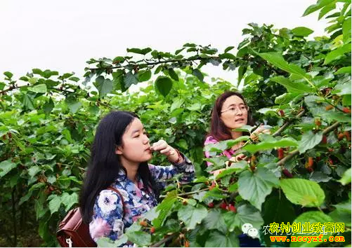 ��ɣ��׬Ǯ��ɣ��԰��ժÿĶ����2��Ԫ