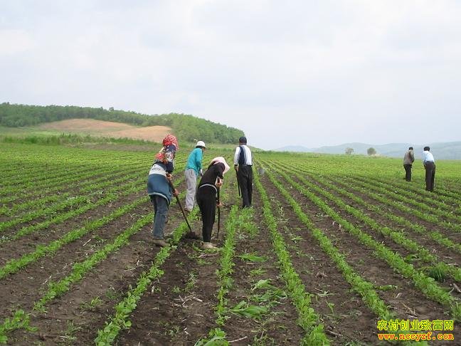 �˹������뾭Ӫ��ƺ�����¡�Ǯ��;������