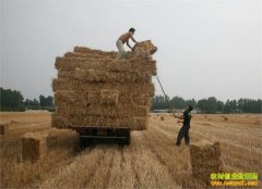 2016��ũ���¸���Ŀ��ҵ�õ����Ƽ�