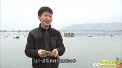 [�¸���]������ð�մ����պ��εı���Ƹ�