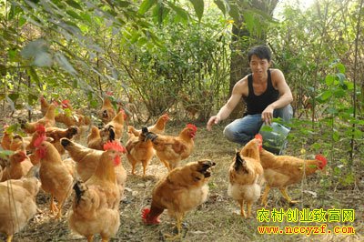 ������Դ�Ᵽ���򸾻���������ҵ�¸�