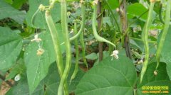 [ũ�����]¶����˶����༼����Ƶ