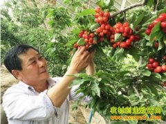 ɽ������������������ӣ�������ָ߲�