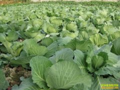 �紺�����Ͱײ����ü�����������