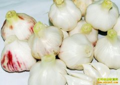 ���ڴ���۸����ƣ������ܷ����ơ�����ݡ���