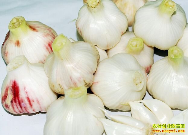 ����۸��ܷ����ơ�����ݡ���