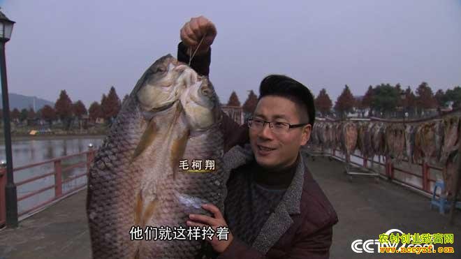 �¸������������������׬Ǯ