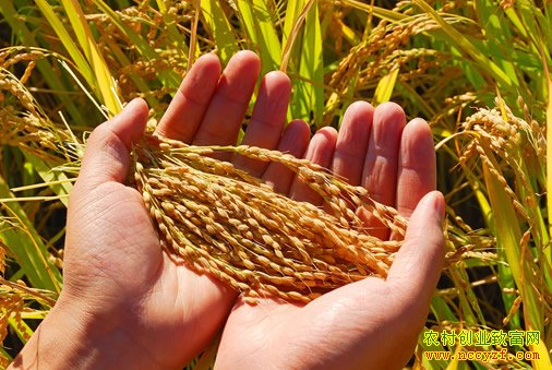 ��80�󡱷�������Ӣ�������ķ�����조ˮ��������