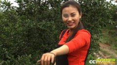 [�¸���]¬����ֲ���۲�֪������Ӹ�ծ������ǧ��