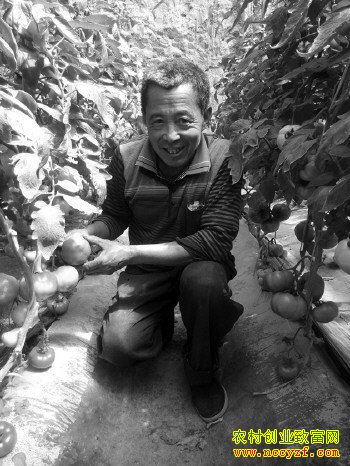 ���ϳ���������һ��������һ�괿����4��Ԫ