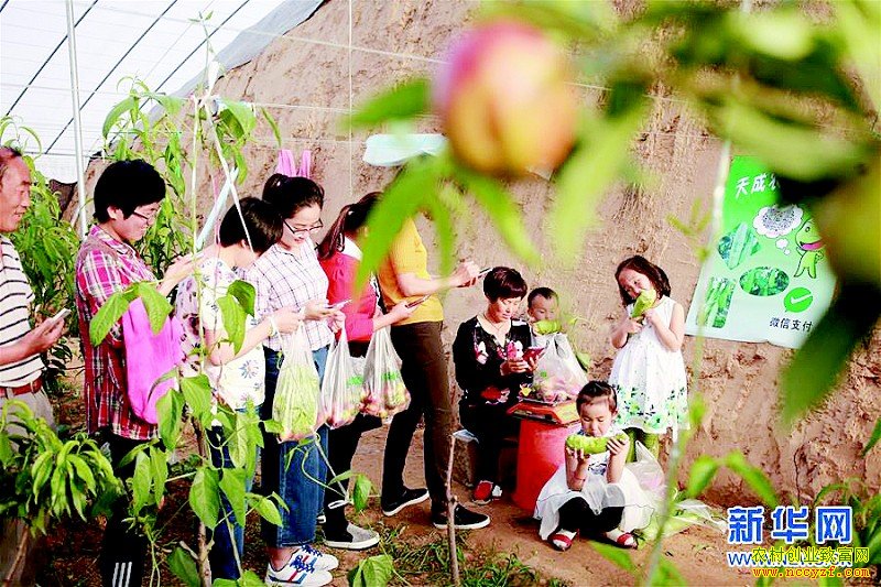 ɽ����Ӫ�ջ�����ũ����������ȦЧ��ɹ�