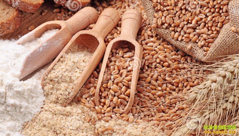 ����۸����飺��Ƥ�۸����� ��������ƣ��