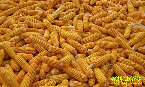 ���������׼۸���½������׼۸��������