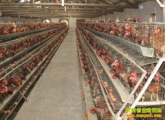 �����¸�����������ʦ��������������׬Ǯ