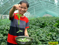 [ÿ��ũ��]�к������ɱ���ˮ����ƶ������ֳǰ����