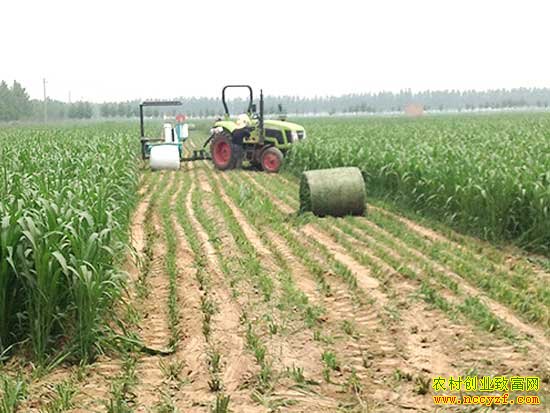 ũ��ֲ�������ϼӹ�