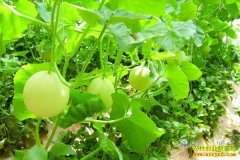 ��������������� �����׬Ǯ��