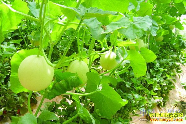 ��������������� �����׬Ǯ��