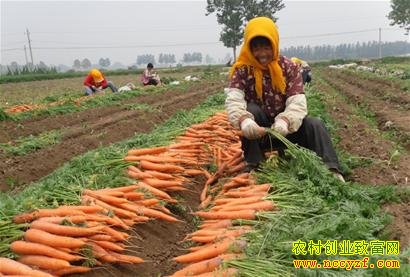 ���ܲ��۸��������� �����ܷ���ģ��ֲ