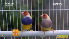 [ũ�����]�߲����񡢳����á��ȴ��㡢����Ͷ���ȳ��ܶ�Ա