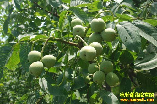 [�Ƽ�Է]�����¼��ɾ͵ĺ��Ҳ�ҵ