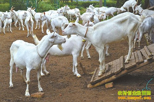 ���������뺣�������ֳ��ɽ��ҵ�¸�