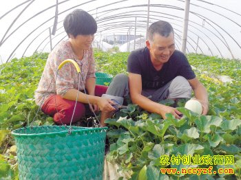 �����ֲ���㽭̨����Ҷɭ�¸�����Ŀ