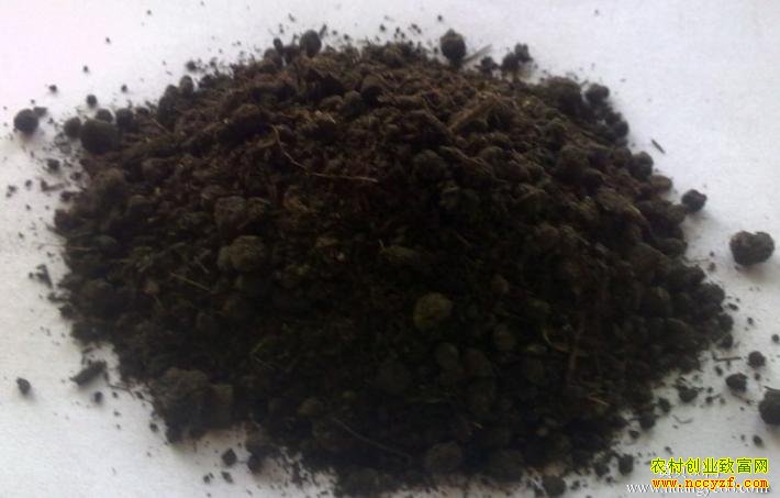 ����ӹ�׬Ǯ�������ˮ�����ӹ�����׬Ǯ����600��Ԫ