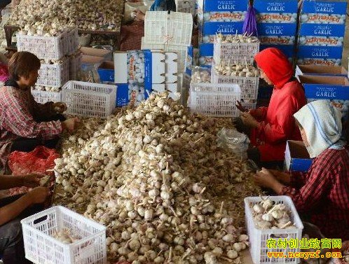 ����۸���ǵı���