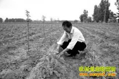 ¶���߲������ ɽ���ʳ������ҷ�չ����ũҵ��׬Ǯ