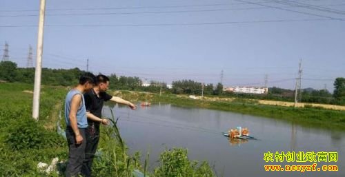 ̨�������˳����ֳС��Ϻ��ҵ�¸�