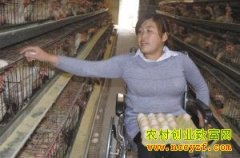 �ӱ����ݲм�Ů���Ž���������ҵ����50��