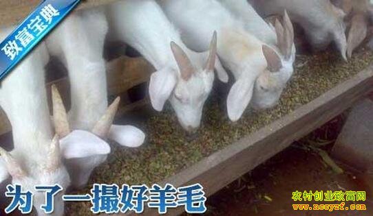 ����ɽ��׬Ǯ����ë����ֳ����֮����