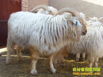 [ũ�����]������ɽ����ֳ������Ƶ