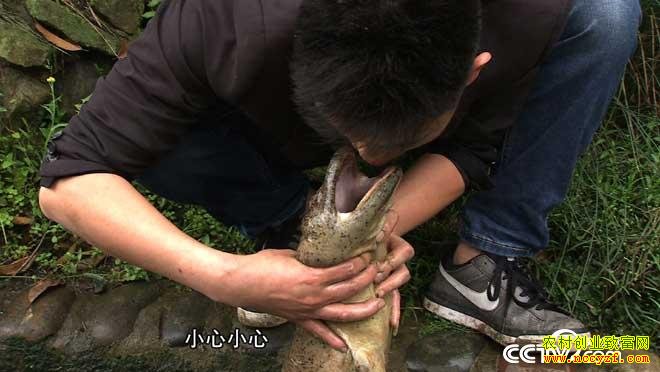 [�¸���]�Ĵ��˱�Ĳ�������������ɽ�������׬Ǯ