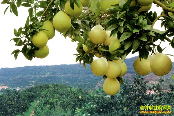 �����򰲡��������ִ������������ָ��ٴ���Ⱥ���¸�