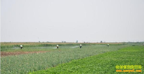 ��η��ػȳ�Σ��