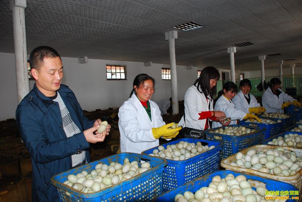 �ݵ��ӹ���Ʒ���󲻶������г�ǰ������