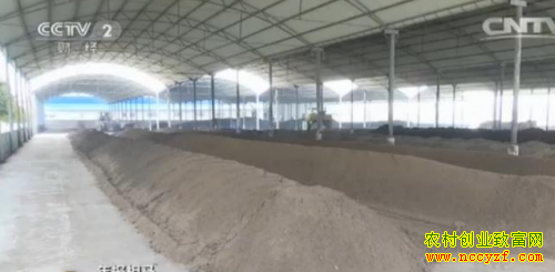 ���Ϊ���������л��ʼӹ�һ���Ȼ����38��