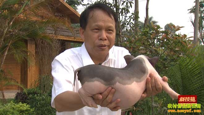 [�Ƽ�Է]½��һ֦�� ��ʵ������