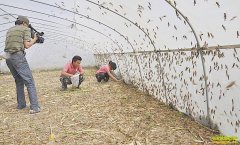 ��������¸�����ɽ��۰����ͬԪ������������׬ʮ����