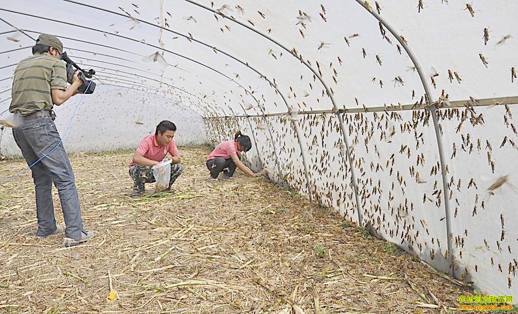 ɽ��۰����ͬԪ������������׬ʮ����