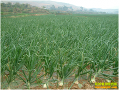 2016�����׬Ǯ�𣺡��硱�ֵ��� ��������л���Ǯ׬