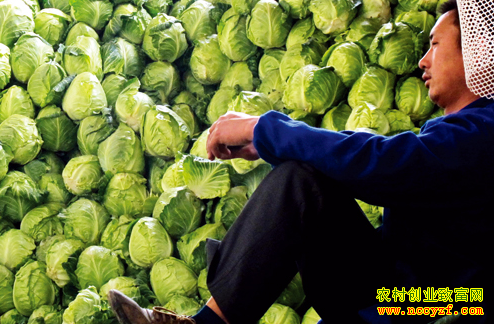 ũ��Ʒ�۸���� ũ�崴ҵ׬ǮҪ����ס��